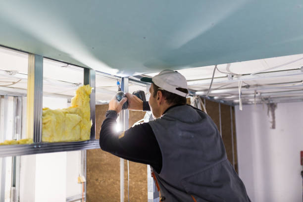 Best Insulation Maintenance and Repair in Brookshire, TX